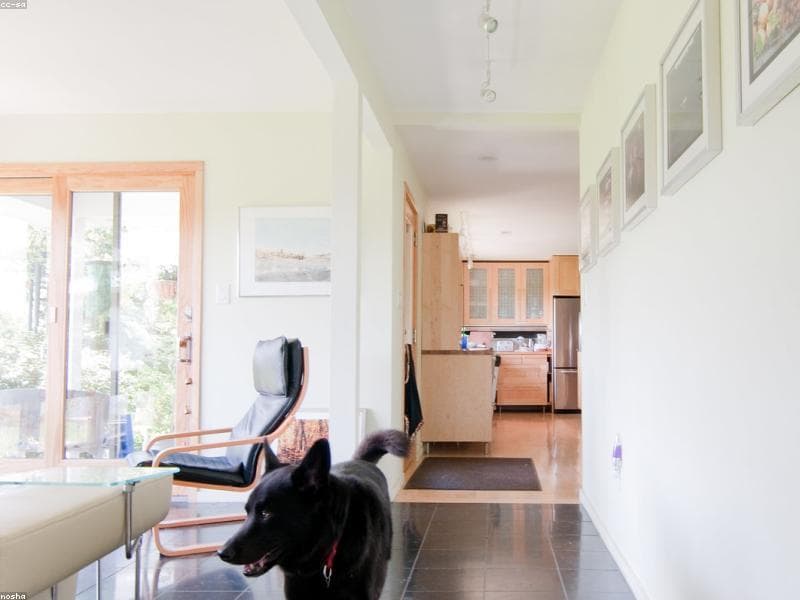 Absolute Black Granite 4